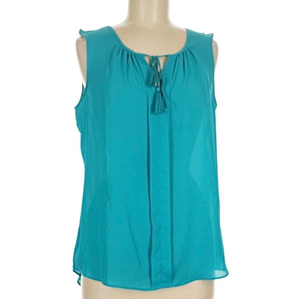 Rose & Olive Chiffon Sleeveless Tasseled Tie Round Neck Blouse Size S